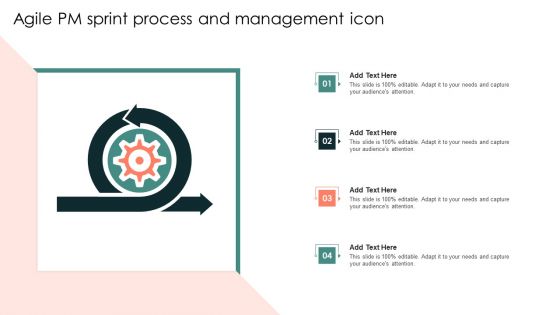 Agile PM Sprint Process And Management Icon Ideas PDF