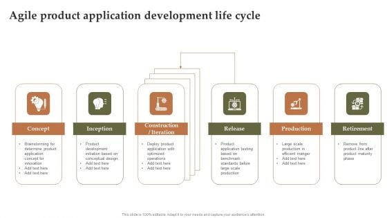 Agile Product Application Development Life Cycle Sample PDF