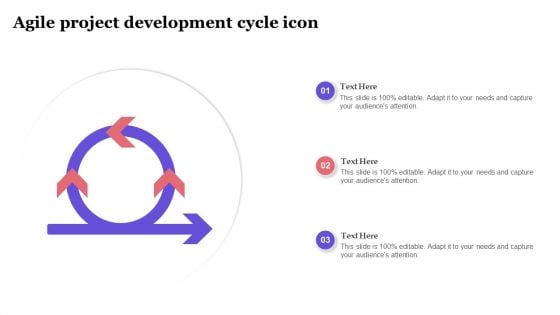 Agile Project Development Cycle Icon Ideas PDF