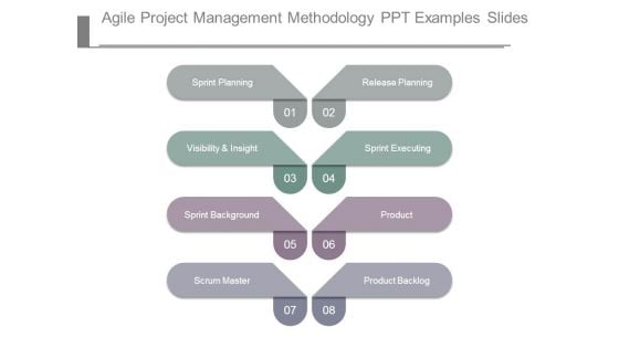 Agile Project Management Methodology Ppt Examples Slides
