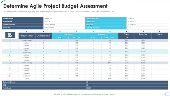 Agile Project Playbook Presentation Determine Agile Project Budget Assessment Summary PDF