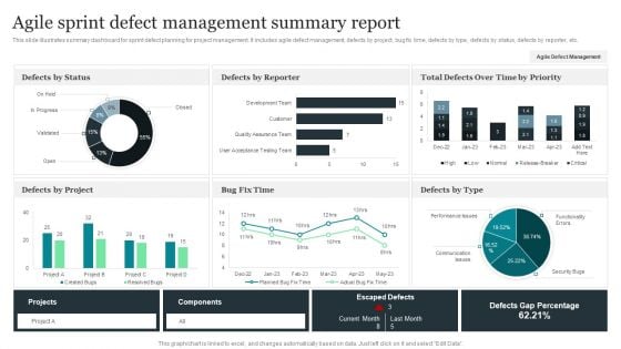 Agile Sprint Defect Management Summary Report Structure PDF