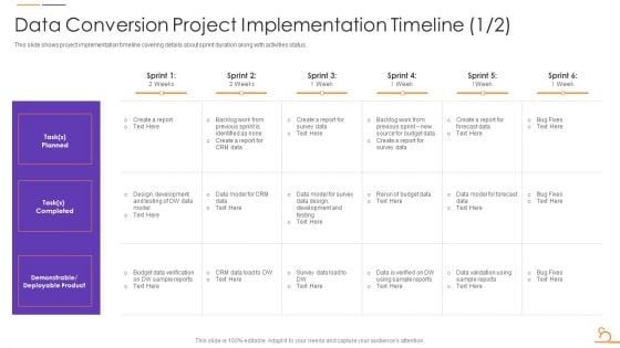 Agile Techniques For Data Migration Data Conversion Project Implementation Timeline Brochure PDF