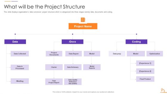 Agile Techniques For Data Migration What Will Be The Project Structure Introduction PDF