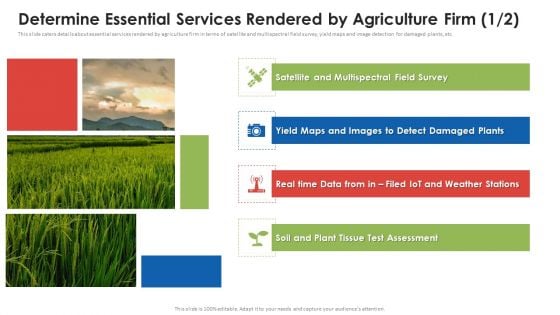 Agribusiness Startup Determine Essential Services Rendered By Agriculture Firm Infographics PDF