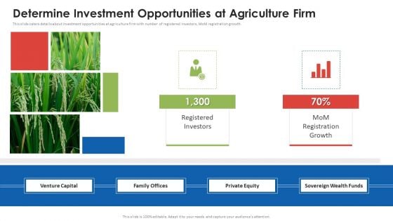 Agribusiness Startup Determine Investment Opportunities At Agriculture Firm Summary PDF