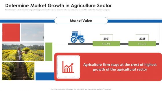 Agribusiness Startup Determine Market Growth In Agriculture Sector Summary PDF