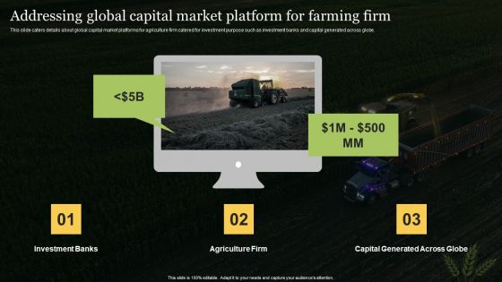 Agriculture Business Elevator Addressing Global Capital Market Platform For Farming Firm Template PDF