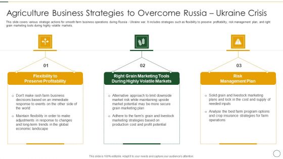 Agriculture Business Strategies To Overcome Russia Ukraine Crisis Summary PDF