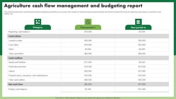 Agriculture Cash Flow Management And Budgeting Report Demonstration PDF