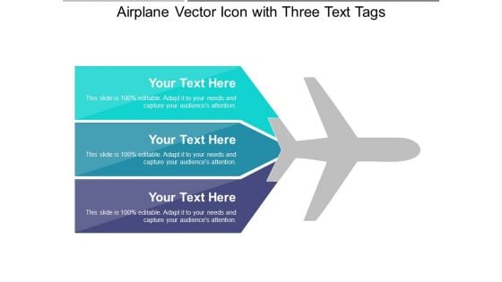 Airplane Vector Icon With Three Text Tags Ppt PowerPoint Presentation Gallery Rules PDF