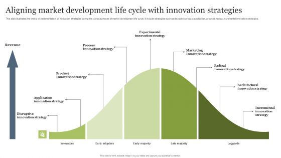Aligning Market Development Life Cycle With Innovation Strategies Infographics PDF