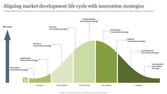 Aligning Market Development Life Cycle With Innovation Strategies Infographics PDF Aligning Market Development Life Cycle With Innovation Strategies Infographics PDF