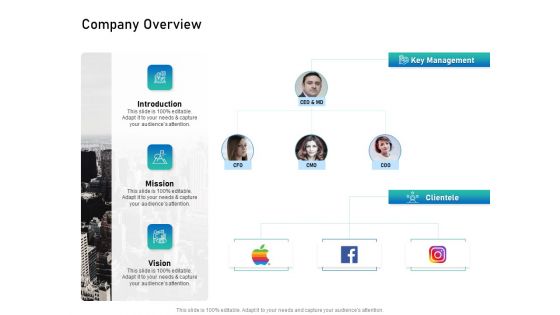 Alliance Evaluation Company Overview Ppt Styles Files PDF