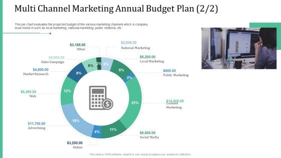 Alternative Distribution Advertising Platform Multi Channel Marketing Annual Budget Plan Sales Background PDF