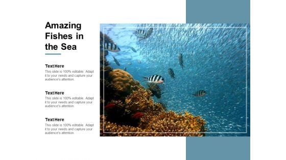 Amazing Fishes In The Sea Ppt Powerpoint Presentation Visual Aids Files