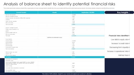 Analysis Of Balance Sheet To Identify Potential Financial Risks Sample PDF