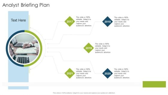 Analyst Briefing Plan Organizational Strategies And Promotion Techniques Professional PDF