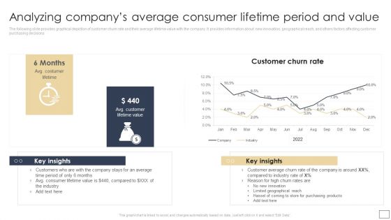 Analyzing Companys Average Consumer Lifetime Period And Value Portrait PDF