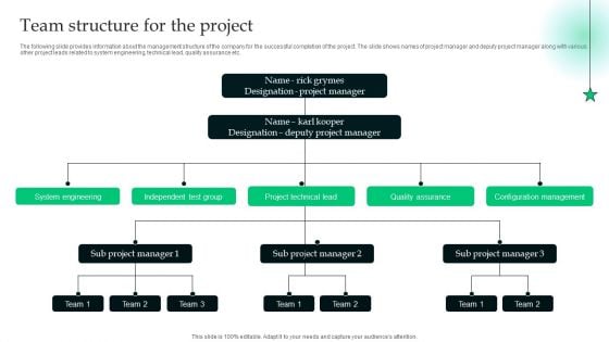 Analyzing The Economic Team Structure For The Project Background PDF