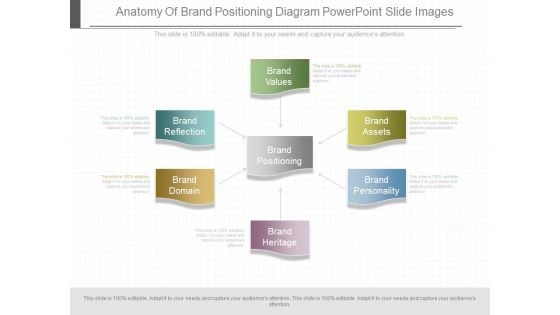 Anatomy Of Brand Positioning Diagram Powerpoint Slide Images