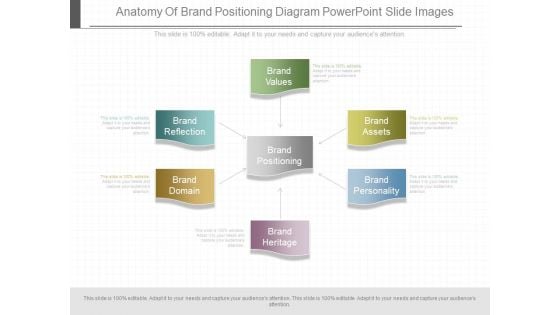 Anatomy Of Brand Positioning Diagram Powerpoint Slide Images Anatomy Of Brand Positioning Diagram Powerpoint Slide Images