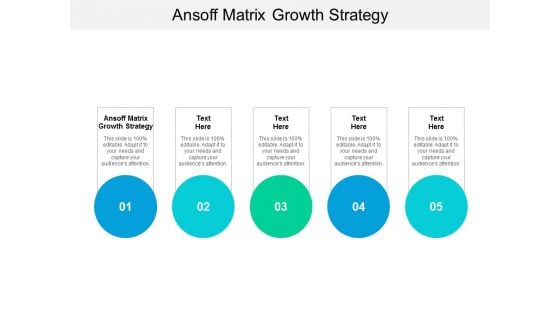 Ansoff Matrix Growth Strategy Ppt PowerPoint Presentation Professional Graphics Tutorials Cpb
