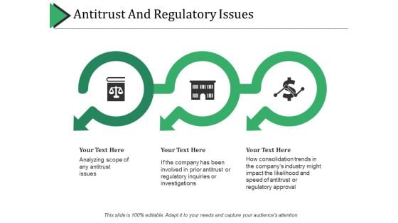 Antitrust And Regulatory Issues Ppt PowerPoint Presentation Icon Show