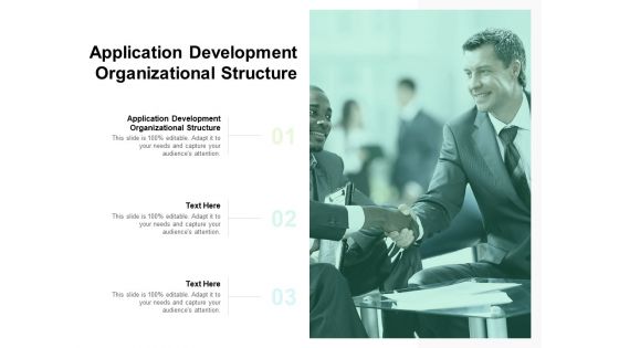 Application Development Organizational Structure Ppt PowerPoint Presentation Summary Examples Cpb Pdf