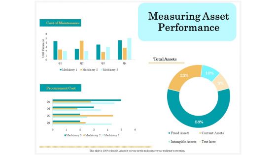 Application Life Cycle Analysis Capital Assets Measuring Asset Performance Formats PDF