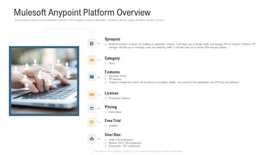 Application Programming Interface Marketplace Mulesoft Anypoint Platform Overview Icons PDF