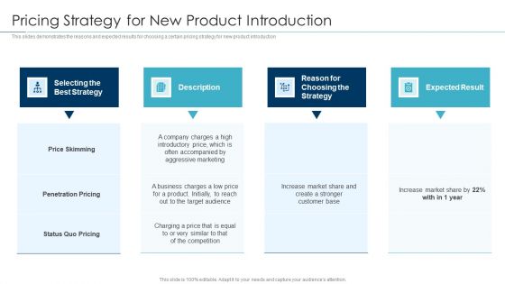 Approaches For New Product Release Pricing Strategy For New Product Introduction Topics PDF