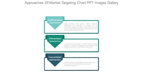 Approaches Of Market Targeting Chart Ppt Images Gallery