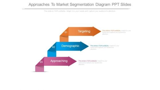 Approaches To Market Segmentation Diagram Ppt Slides