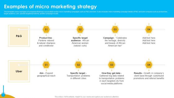 Approaches To Targeting New Customers In Various Markets Examples Of Micro Marketing Demonstration PDF