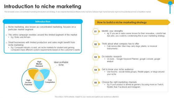 Approaches To Targeting New Customers In Various Markets Introduction To Niche Marketing Introduction PDF