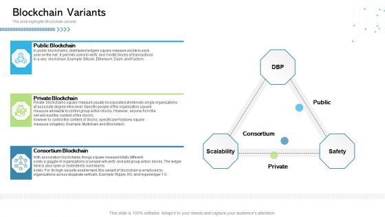 Architecture Blockchain System Blockchain Variants Ppt Professional Portfolio PDF