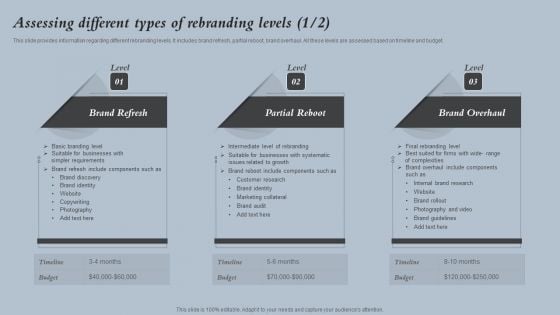 Assessing Different Types Of Rebranding Levels Strategies For Rebranding Without Losing Sample PDF Assessing Different Types Of Rebranding Levels Strategies For Rebranding Without Losing Sample PDF