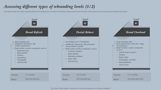 Assessing Different Types Of Rebranding Levels Strategies For Rebranding Without Losing Sample PDF