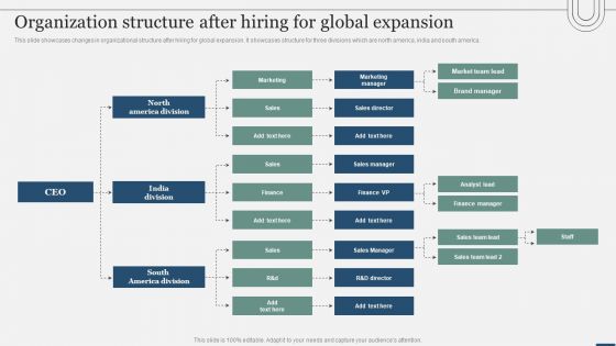 Assessing International Market Organization Structure After Hiring For Global Expansion Formats PDF