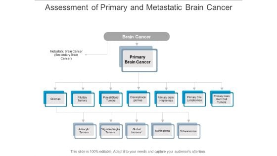 Assessment Of Primary And Metastatic Brain Cancer Ppt Powerpoint Presentation Infographics Example
