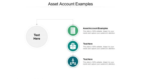 Asset Account Examples Ppt PowerPoint Presentation Slides Tips Cpb