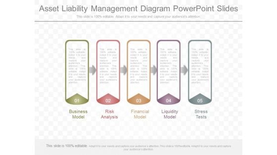 Asset Liability Management Diagram Powerpoint Slides