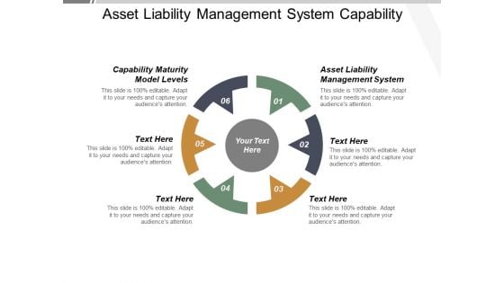 Asset Liability Management System Capability Maturity Model Levels Ppt PowerPoint Presentation Summary Microsoft