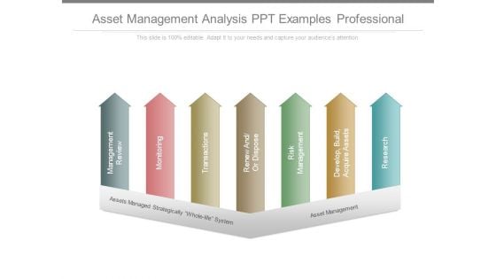 Asset Management Analysis Ppt Examples Professional