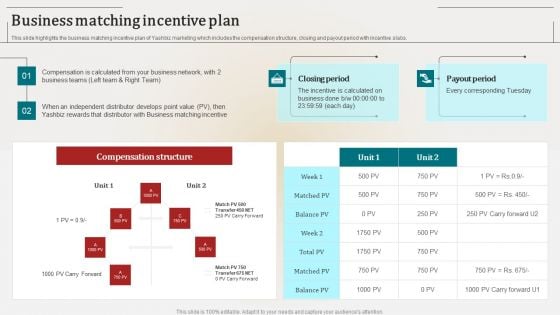 Associate Marketing Company Outline Business Matching Incentive Plan Background PDF