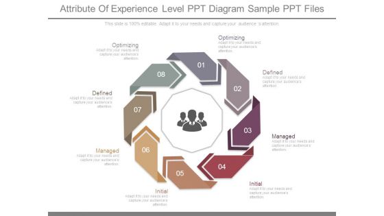 Attribute Of Experience Level Ppt Diagram Sample Ppt Files