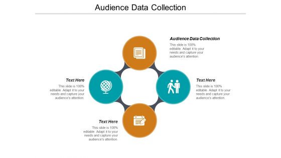 Audience Data Collection Ppt PowerPoint Presentation Outline Infographics Cpb