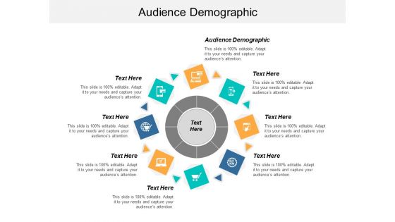 Audience Demographic Ppt PowerPoint Presentation Infographic Template Designs Cpb