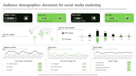 Audience Demographics Document For Social Media Marketing Demonstration PDF